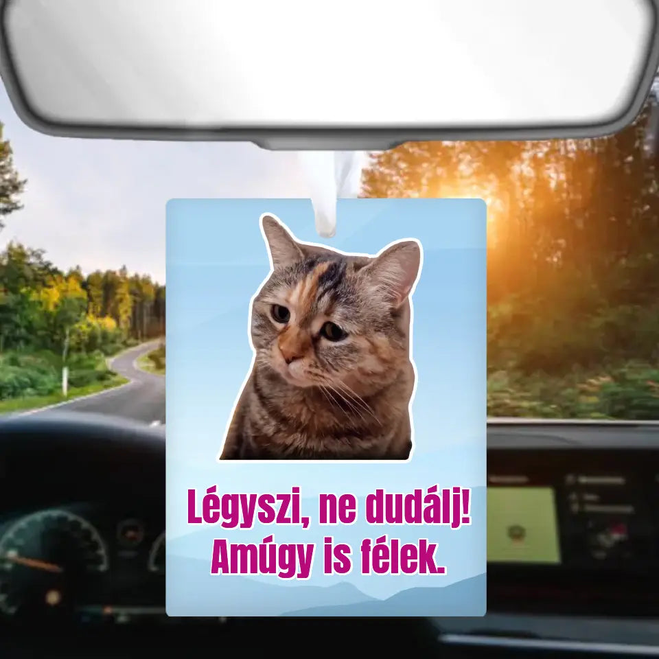 Egyedi autóillatosító cica meme - Ajándékverzum